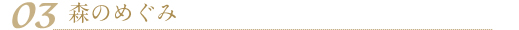 03 森のめぐみ