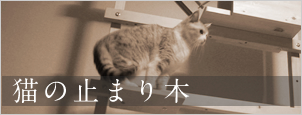 猫の止まり木