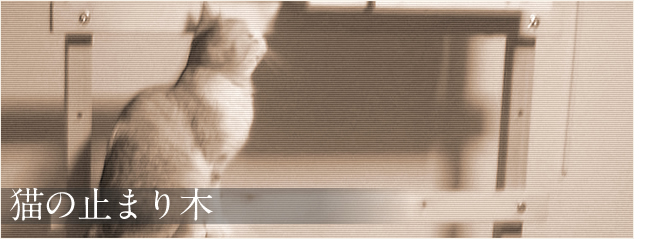 猫の止まり木